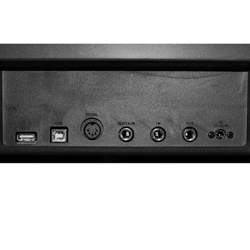 Pianoforte Digitale Echord DP1 88 tasti pesati