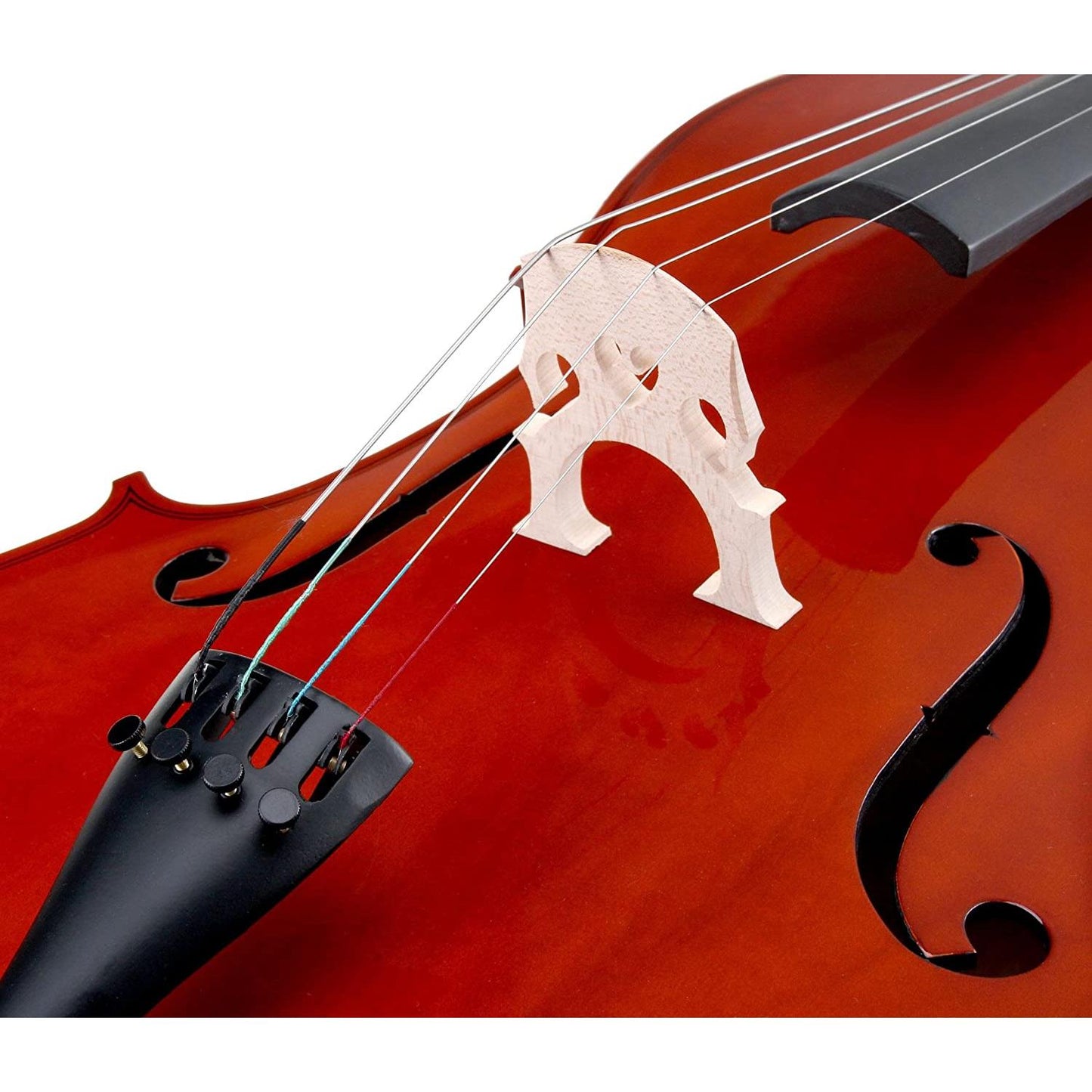 ffalstaff Violoncello 4/4 Laminato Finitura Lucida (Borsa ed Accessori)
