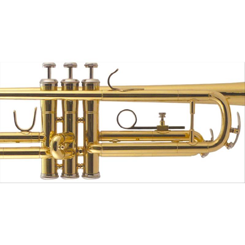 CONDUCTOR Tromba Sib Finitura Laccata (Custodia Sagomata Soft-Line)