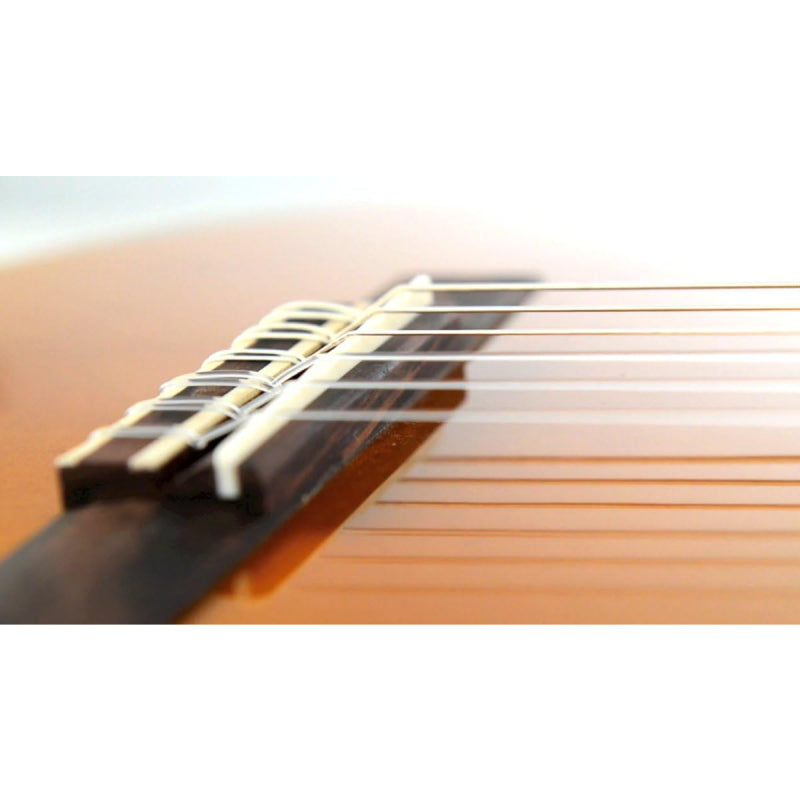 Chitarra Classica YAMAHA C40