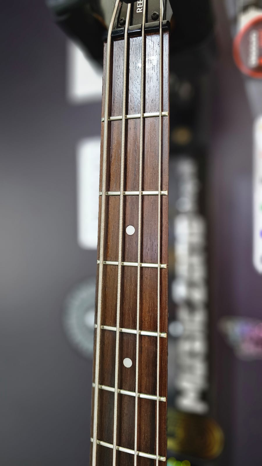 Basso Tanglewood Rebel 4K USATO