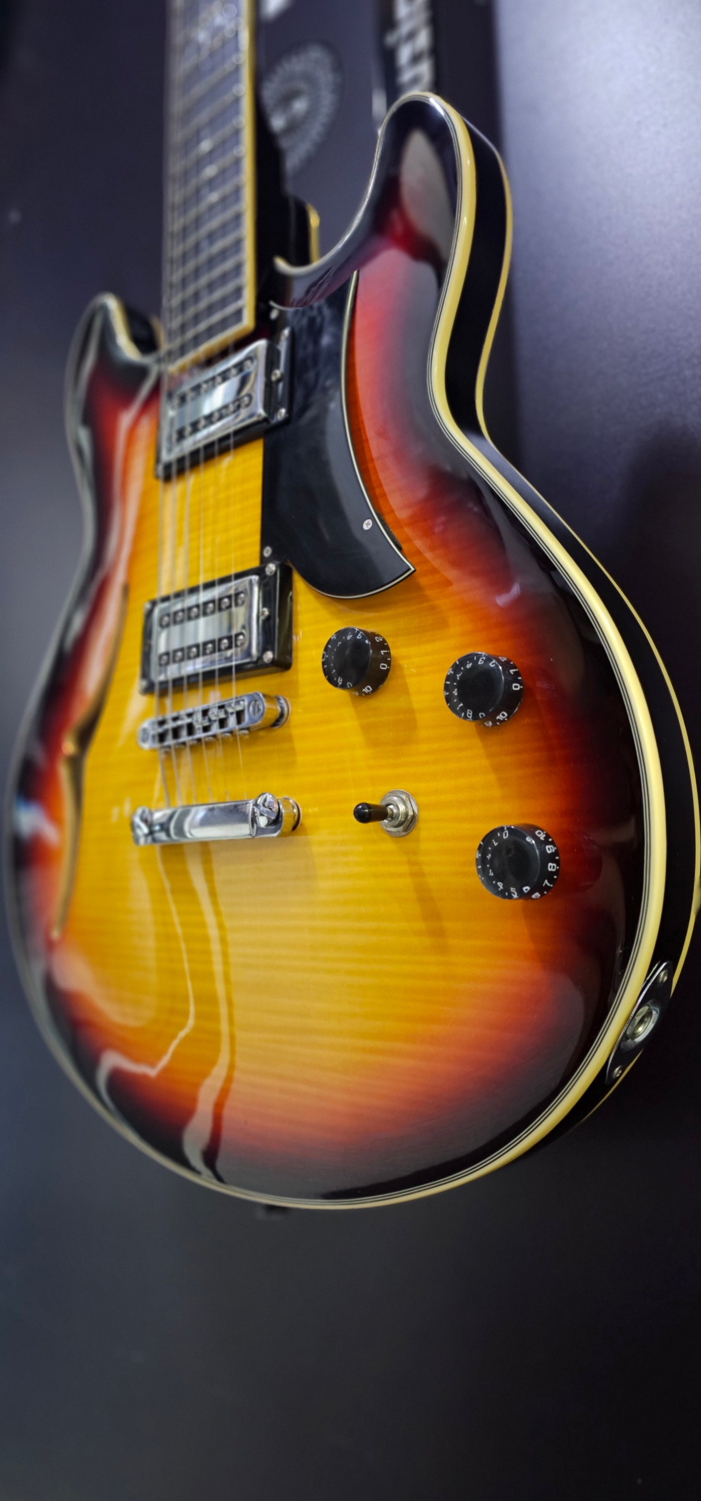 Chitarra semiacustica Eko MIA IV SA-VB - 2 pickup humbucker, Vintage Sunburst - USATO.