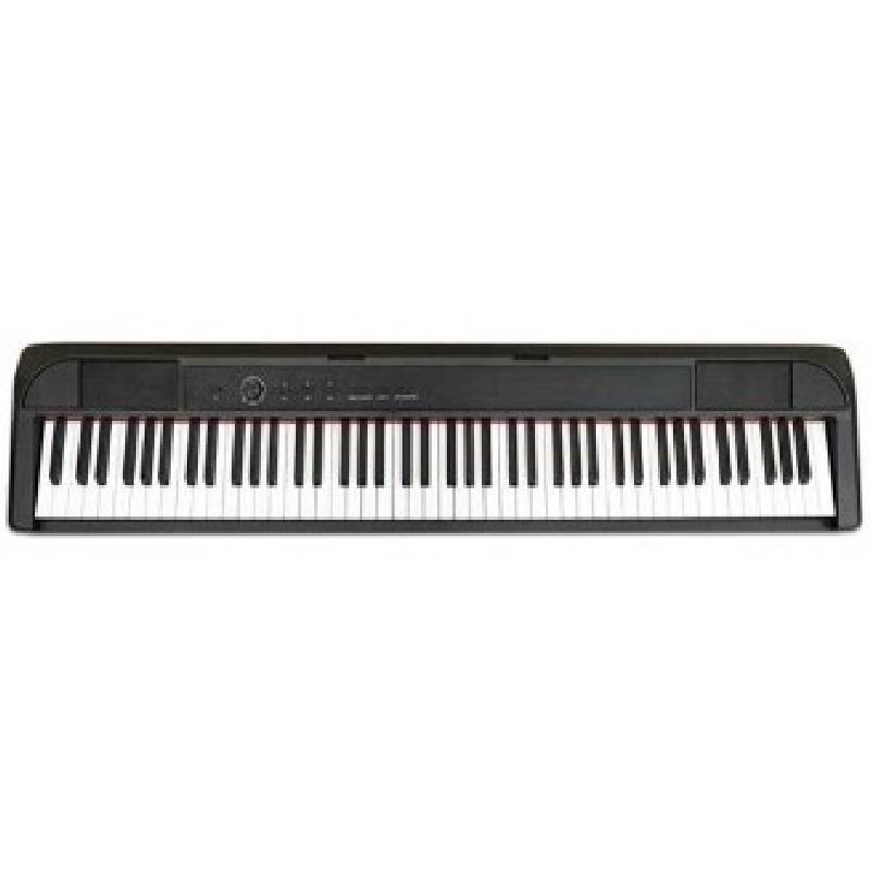 Echord DP1 Digital Piano 88 Weighted Keys