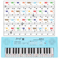 Transparent PVC Keyboard Stickers (32/37/44/49/54/61 Keys)