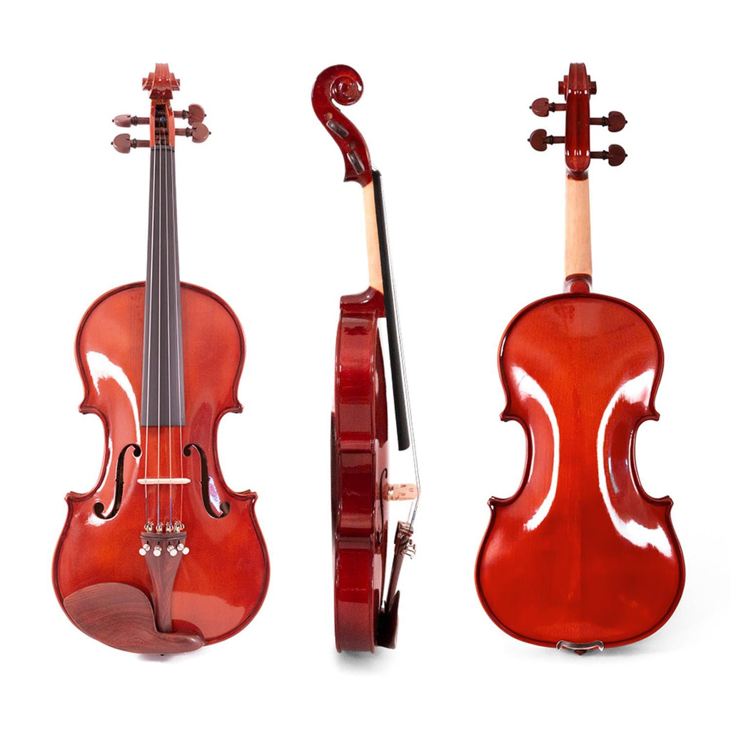 Full-Size 4/4 Solid "Academy" Violin, Glossy Finish, Rosewood Parts