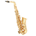 Alto Saxophone Lacquer Finish CONDUCTOR (Soft-Line gig bag)