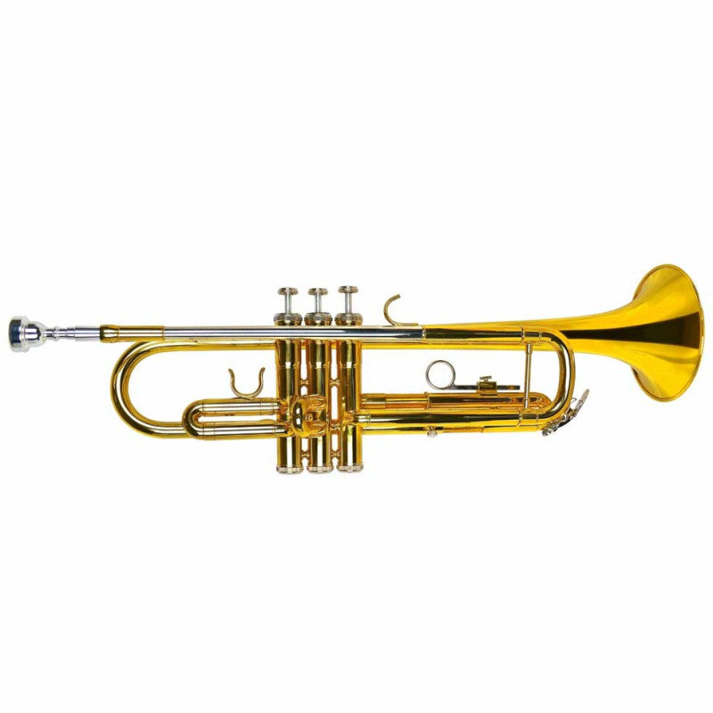 TRUMPET B-FLAT TR-600 - AMADEUS