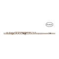 Flute CONDUCTOR (Soft-Line Bag)