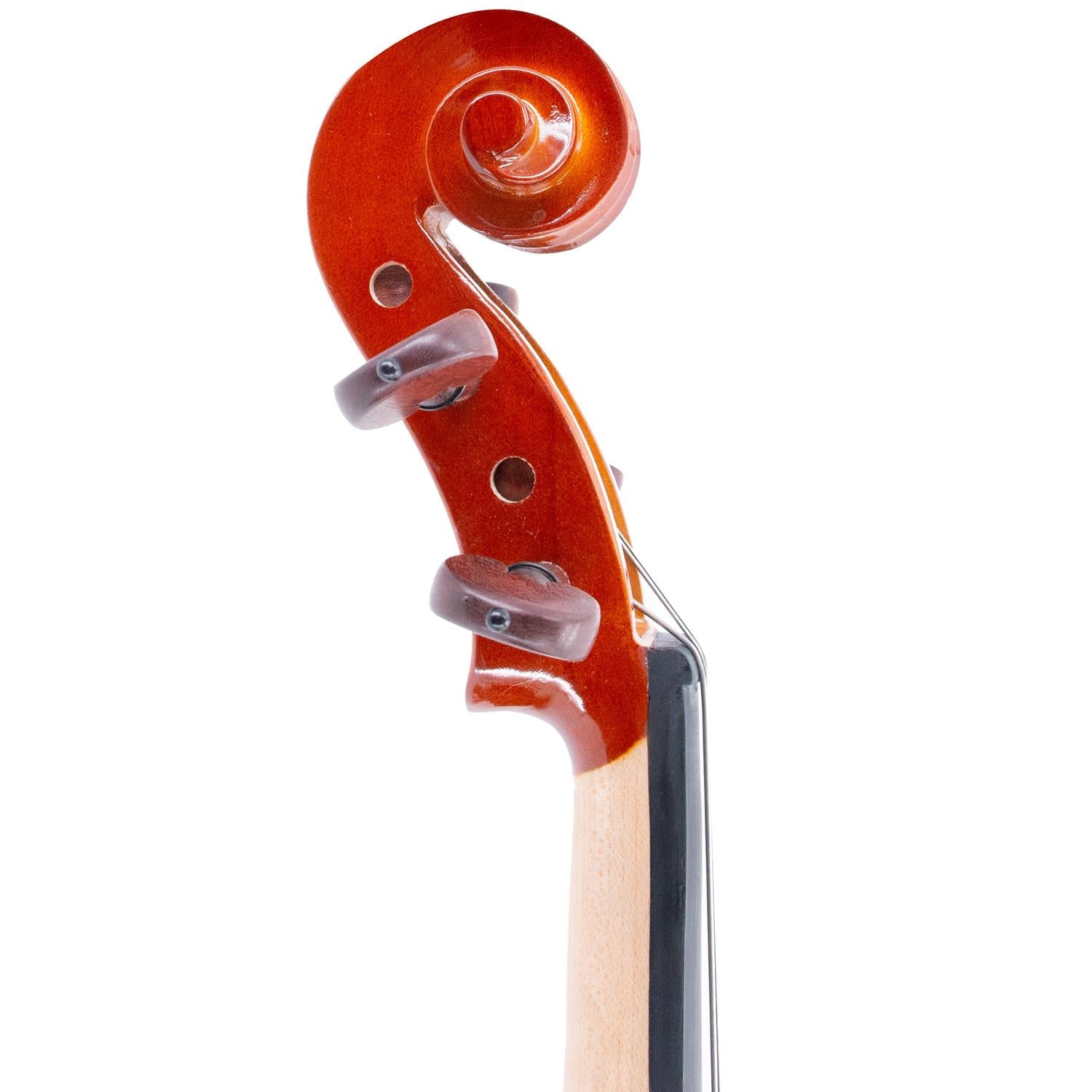 40.6 cm Solid Viola ffalstaff "Academy" Gloss Finish, Rosewood Parts (Shaped Case)