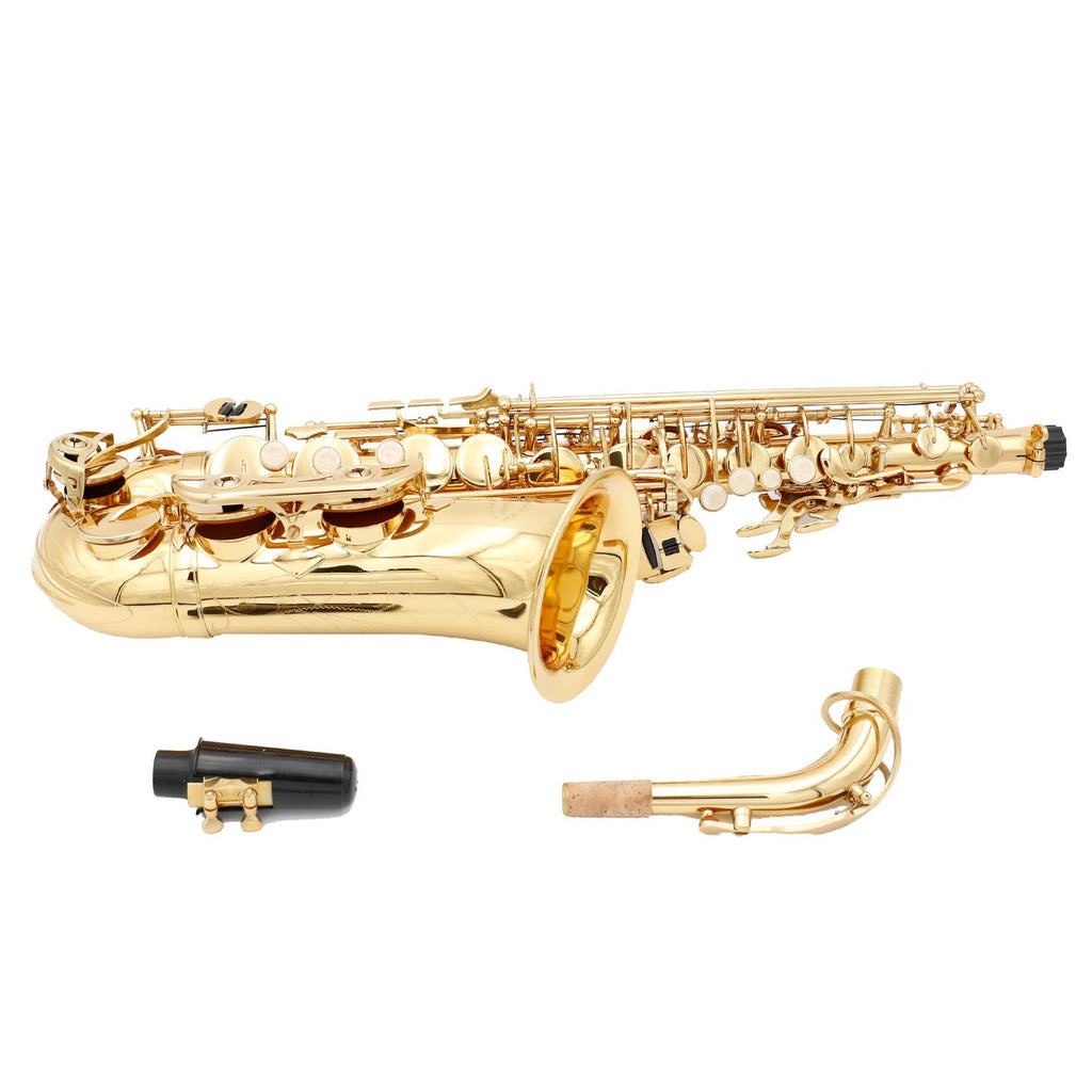 Alto Saxophone Lacquer Finish CONDUCTOR (Soft-Line gig bag)