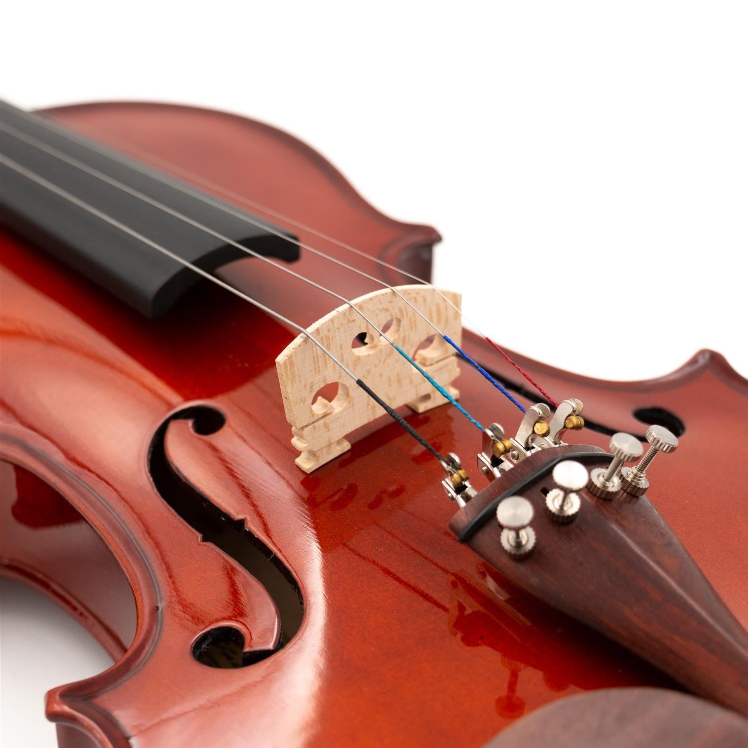 Full-Size 4/4 Solid "Academy" Violin, Glossy Finish, Rosewood Parts