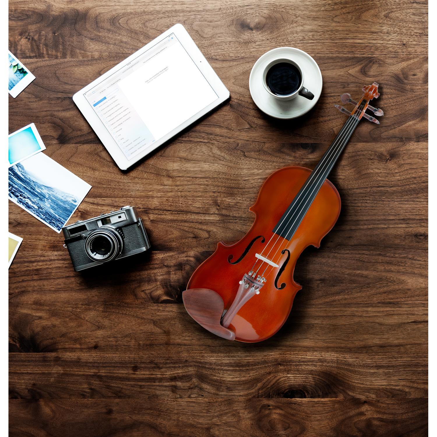 Viola ffalstaff 38.37 cm Solid "Accademy" Gloss Finish, Rosewood parts (Shaped Bag)