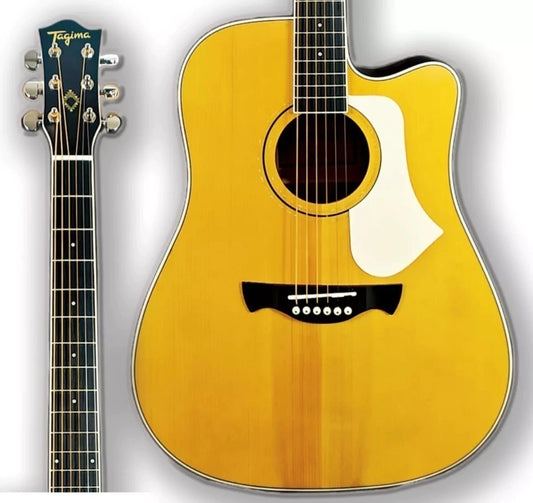 CHITARRA ACUSTICA CUTAWAY EQ ANDES NT TAGIMA