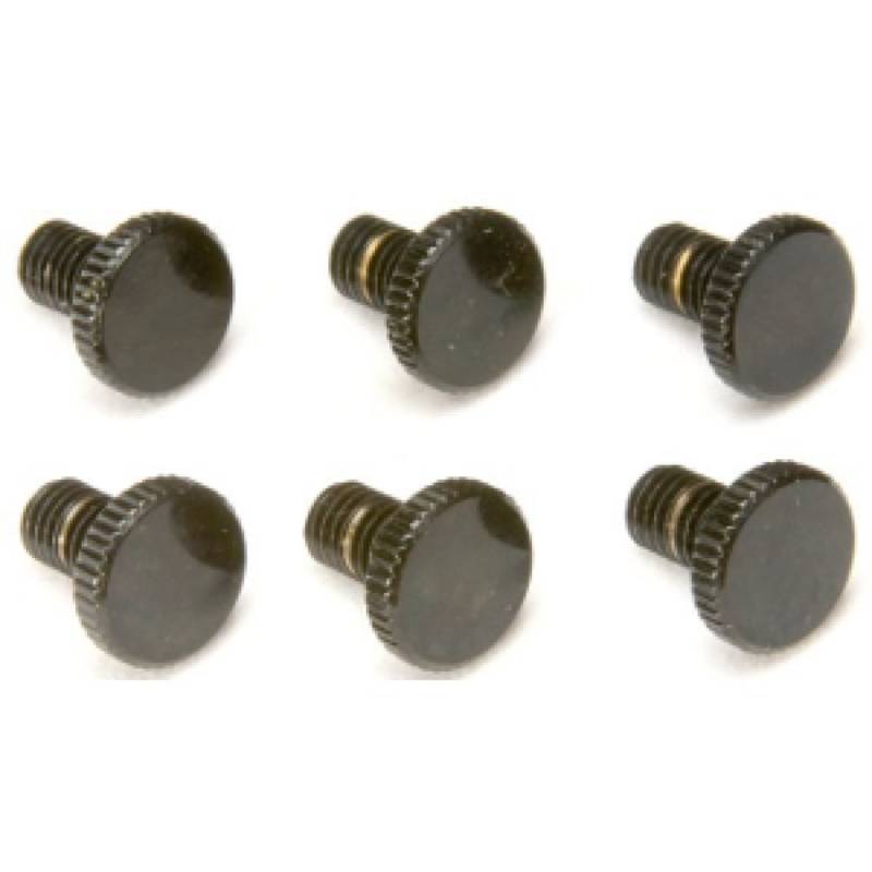 Floyd Rose Fro-Ftsb - Set of 6 Tuning Screws - Original