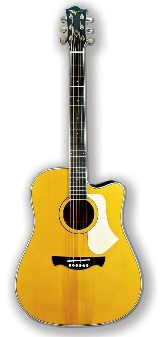CHITARRA ACUSTICA CUTAWAY EQ ANDES NT TAGIMA